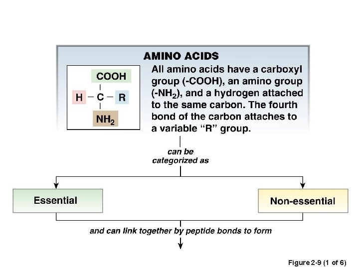 Figure 2 -9 (1 of 6) 