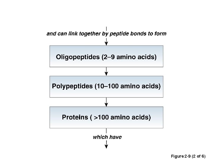 Figure 2 -9 (2 of 6) 