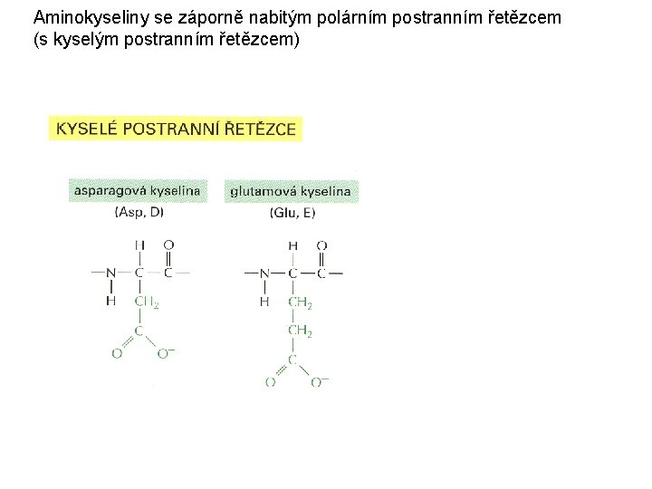 Aminokyseliny se záporně nabitým polárním postranním řetězcem (s kyselým postranním řetězcem) 