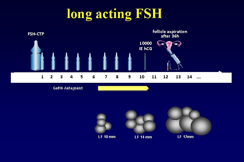 long acting FSH follicle aspiration after 36 h FSH-CTP 10000 IE h. CG 1