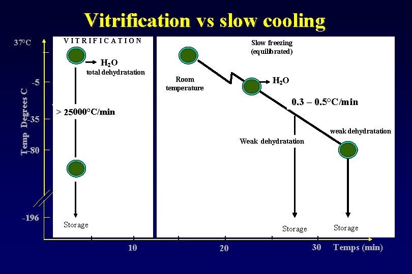 Vitrification vs slow cooling V I T R I F I C A T