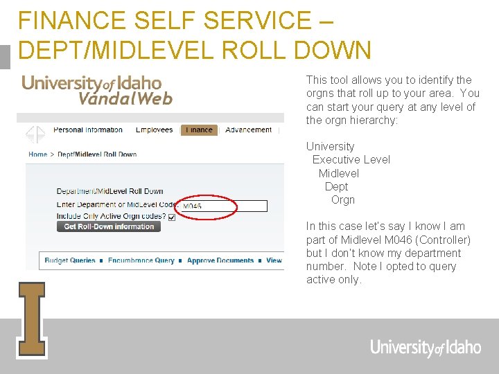 FINANCE SELF SERVICE – DEPT/MIDLEVEL ROLL DOWN This tool allows you to identify the