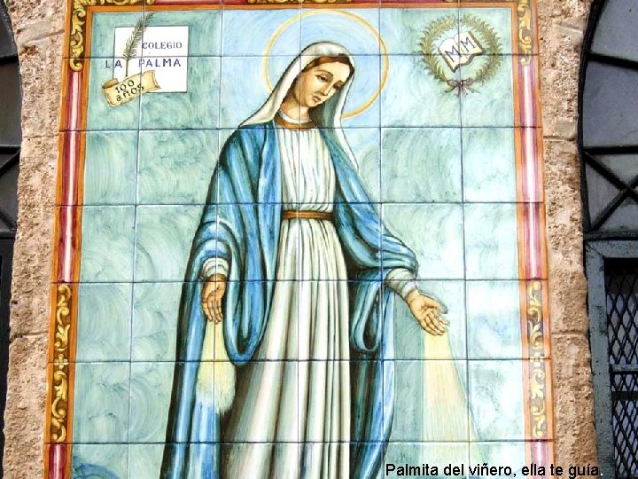 Palmita del viñero, ella te guía. Palmita del viñero, ella te guía.