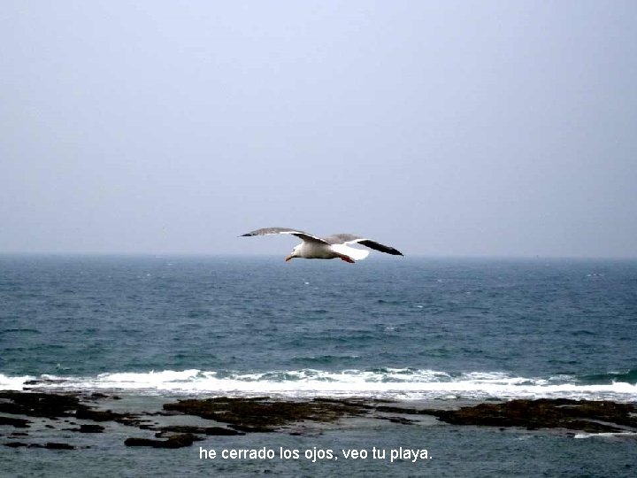 he cerrado los ojos, veo tu playa. he cerrado los ojos, veo tu playa.