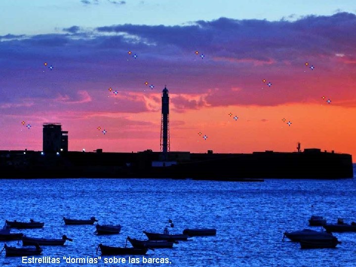 Estrellitas "dormías" sobre las barcas, 