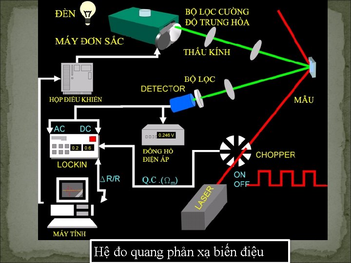 Hệ đo quang phản xạ biến điệu 