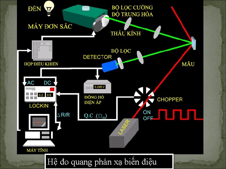 Hệ đo quang phản xạ biến truyền điệu thống 