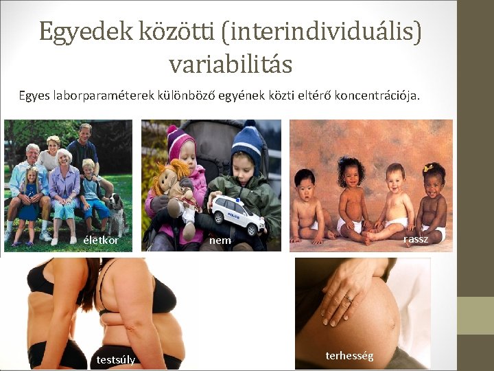 Egyedek közötti (interindividuális) variabilitás Egyes laborparaméterek különböző egyének közti eltérő koncentrációja. életkor testsúly rassz