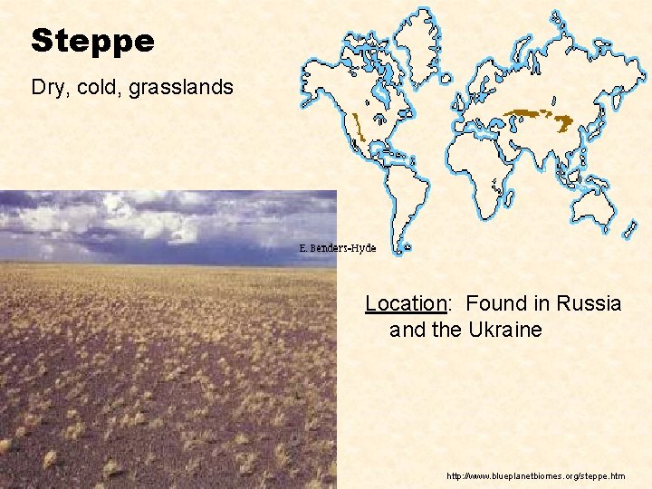 Steppe Dry, cold, grasslands Location: Found in Russia and the Ukraine http: //www. blueplanetbiomes.
