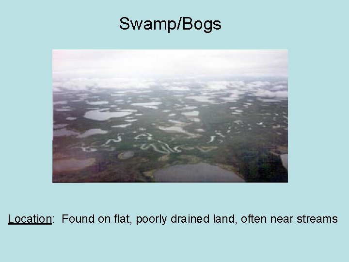 Swamp/Bogs Location: Found on flat, poorly drained land, often near streams 