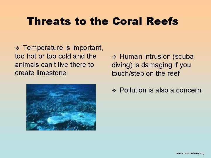 Threats to the Coral Reefs Temperature is important, too hot or too cold and