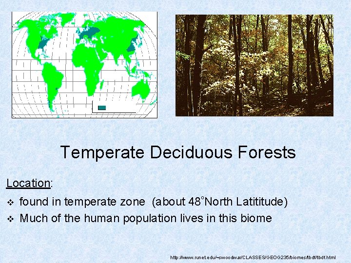 Temperate Deciduous Forests Location: v v found in temperate zone (about 48ºNorth Latititude) Much