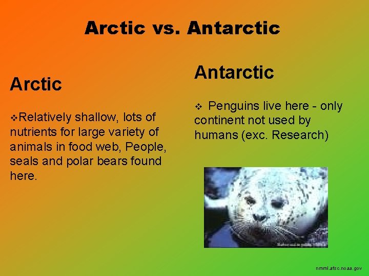 Arctic vs. Antarctic Arctic v. Relatively shallow, lots of nutrients for large variety of