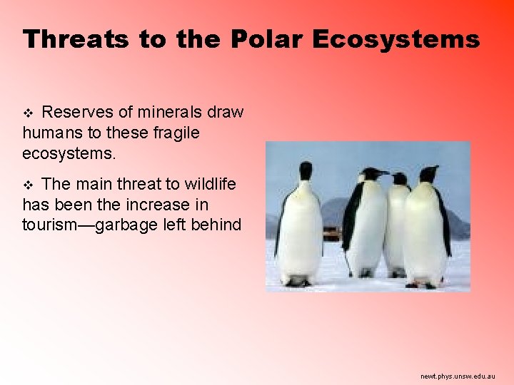 Threats to the Polar Ecosystems Reserves of minerals draw humans to these fragile ecosystems.