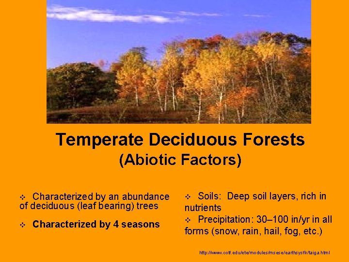 Temperate Deciduous Forests (Abiotic Factors) Characterized by an abundance of deciduous (leaf bearing) trees