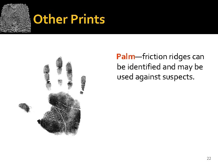 Other Prints Palm—friction ridges can be identified and may be used against suspects. 22