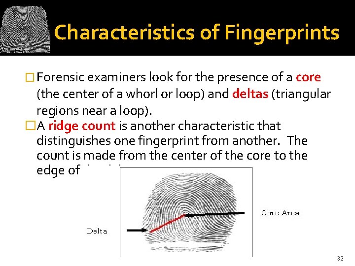 Characteristics of Fingerprints � Forensic examiners look for the presence of a core (the