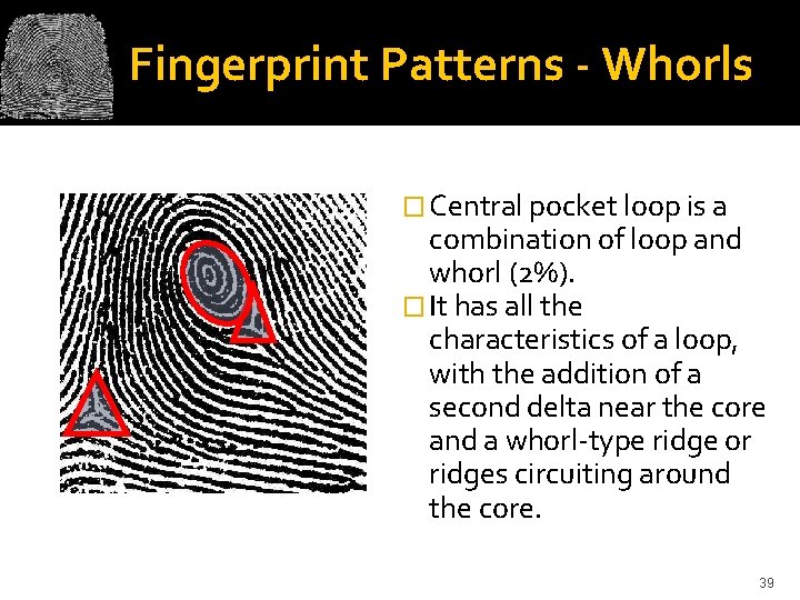 Fingerprint Patterns - Whorls � Central pocket loop is a combination of loop and