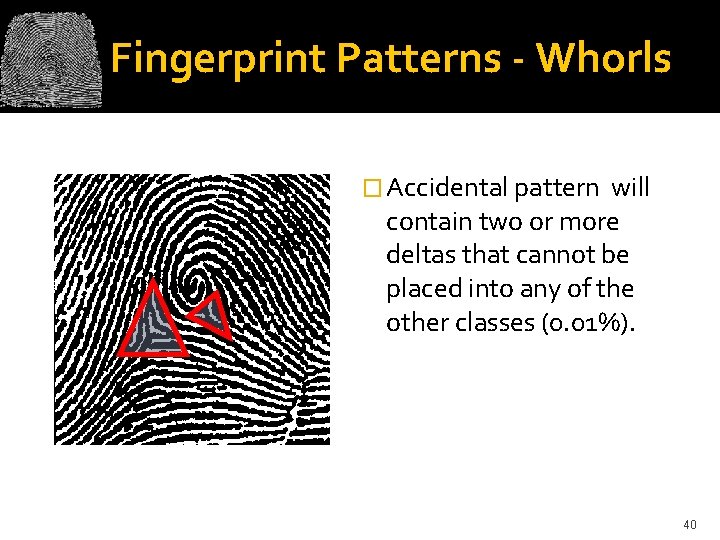 Fingerprint Patterns - Whorls � Accidental pattern will contain two or more deltas that