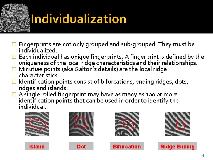 Individualization � � � Fingerprints are not only grouped and sub grouped. They must