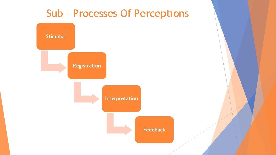 Sub – Processes Of Perceptions Stimulus Registration Registrati on Interpretation Feedback 