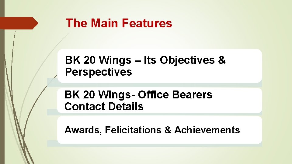 The Main Features BK 20 Wings – Its Objectives & Perspectives BK 20 Wings-
