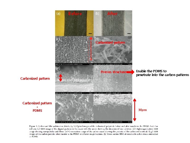 Before After Carbonized pattern Porous structure Carbonized pattern + PDMS Enable the PDMS to Before After Carbonized pattern Porous structure Carbonized pattern + PDMS Enable the PDMS to