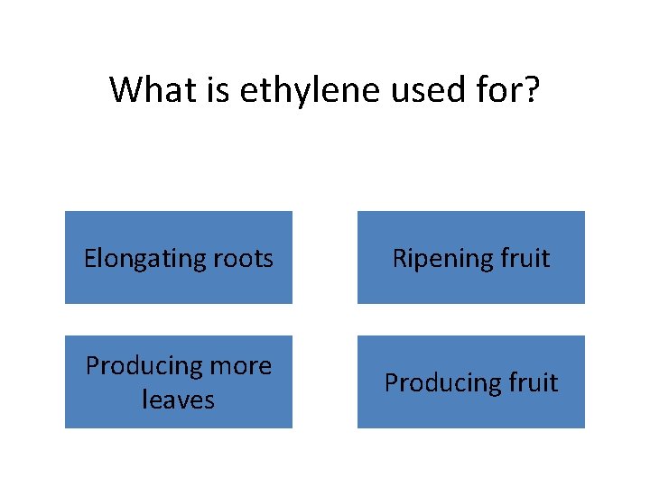 What is ethylene used for? Elongating roots Ripening fruit Producing more leaves Producing fruit