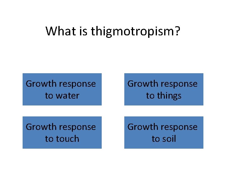 What is thigmotropism? Growth response to water Growth response to things Growth response to