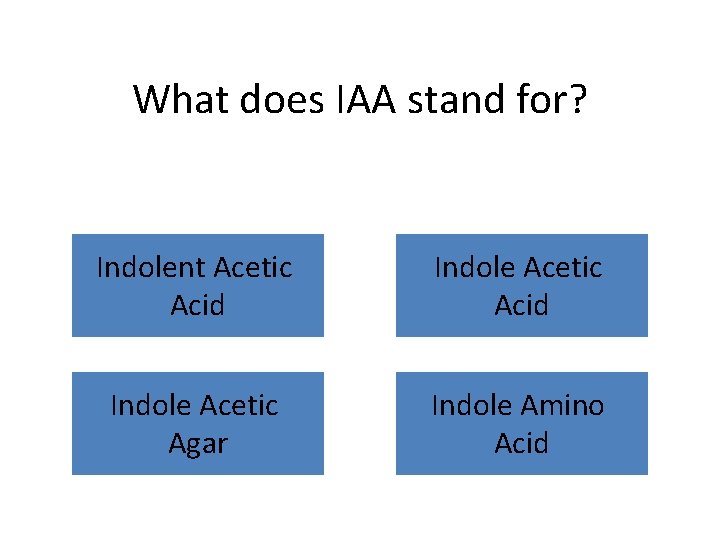 What does IAA stand for? Indolent Acetic Acid Indole Acetic Agar Indole Amino Acid