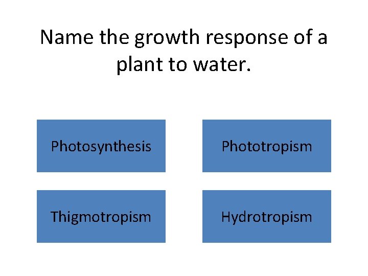 Name the growth response of a plant to water. Photosynthesis Phototropism Thigmotropism Hydrotropism 