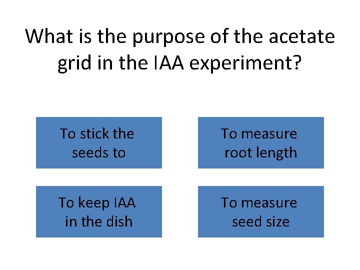 What is the purpose of the acetate grid in the IAA experiment? To stick