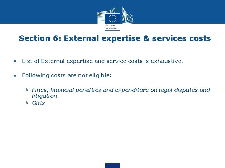 Section 6: External expertise & services costs • List of External expertise and service