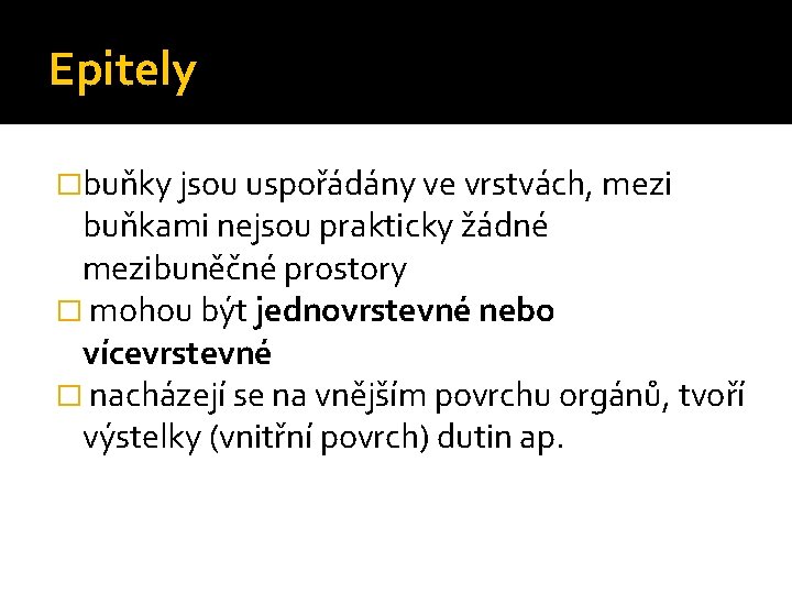 Epitely �buňky jsou uspořádány ve vrstvách, mezi buňkami nejsou prakticky žádné mezibuněčné prostory �