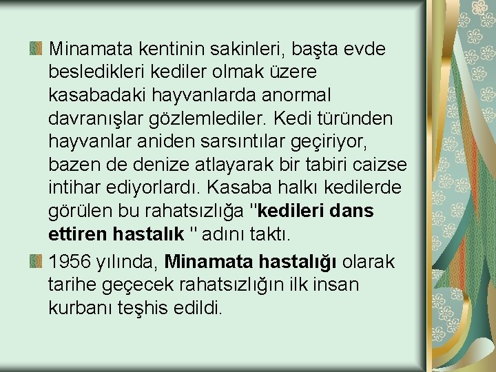 Minamata kentinin sakinleri, başta evde besledikleri kediler olmak üzere kasabadaki hayvanlarda anormal davranışlar gözlemlediler.