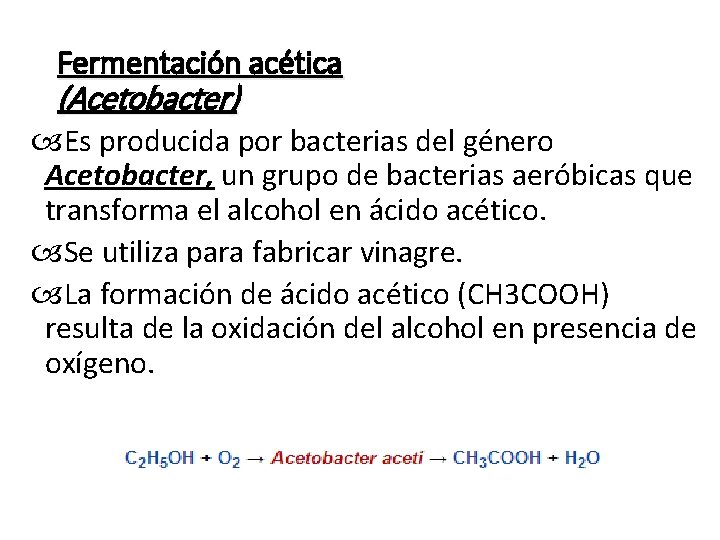 Fermentación acética (Acetobacter) Es producida por bacterias del género Acetobacter, un grupo de bacterias