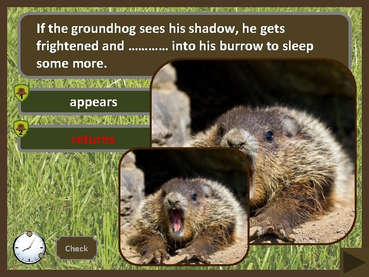 If the groundhog sees his shadow, he gets frightened and ………… into his burrow