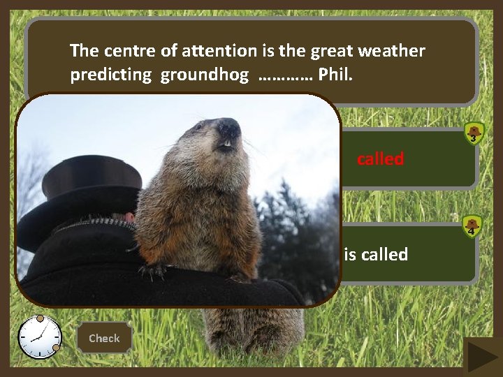 The centre of attention is the great weather predicting groundhog ………… Phil. 3 1