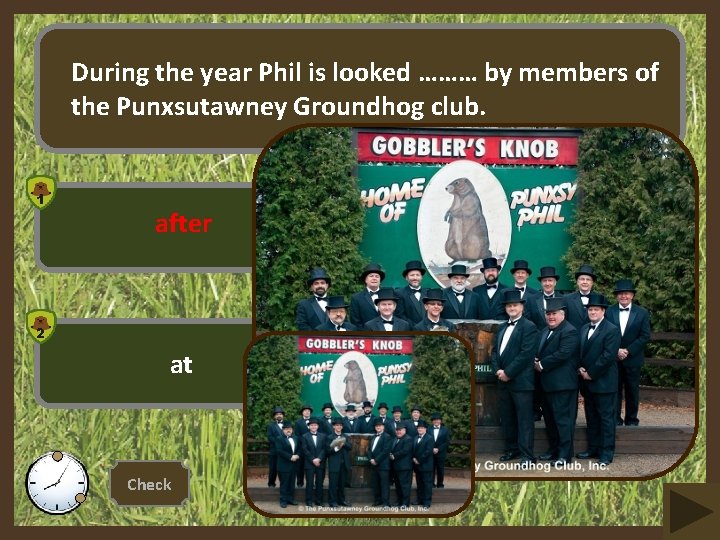 During the year Phil is looked ……… by members of the Punxsutawney Groundhog club.
