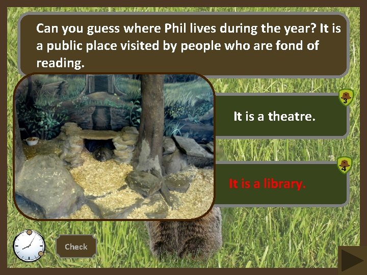 Can you guess where Phil lives during the year? It is a public place