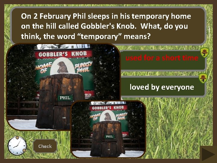 On 2 February Phil sleeps in his temporary home on the hill called Gobbler's