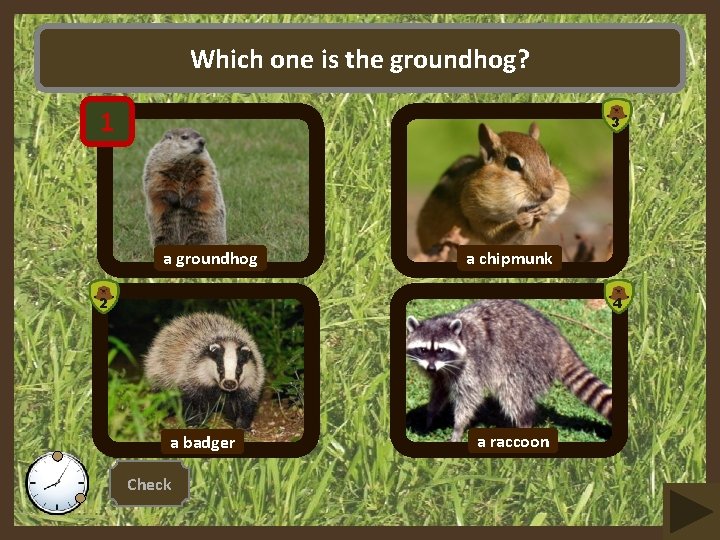 Which one is the groundhog? 11 3 a groundhog a chipmunk 2 4 a