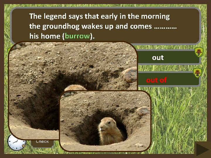 The legend says that early in the morning the groundhog wakes up and comes
