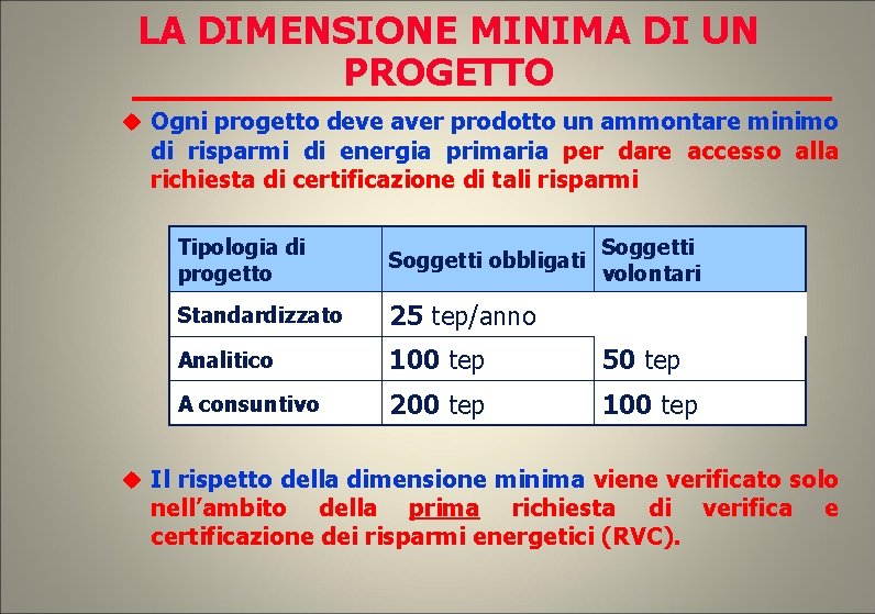 LA DIMENSIONE MINIMA DI UN PROGETTO Ogni progetto deve aver prodotto un ammontare minimo