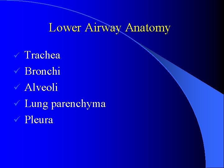 Lower Airway Anatomy ü ü ü Trachea Bronchi Alveoli Lung parenchyma Pleura 