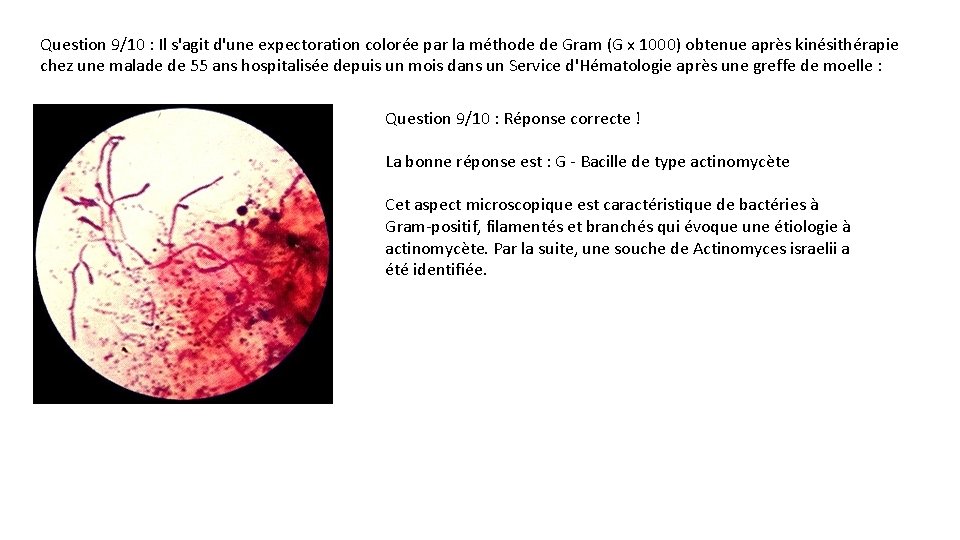 Question 9/10 : Il s'agit d'une expectoration colorée par la méthode de Gram (G