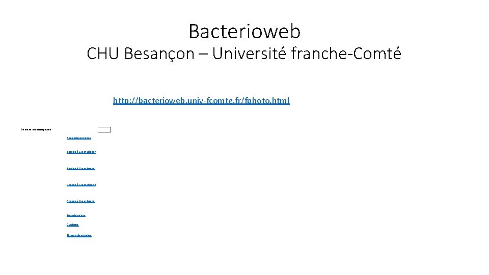 Bacterioweb CHU Besançon – Université franche-Comté http: //bacterioweb. univ-fcomte. fr/fphoto. html Examens microscopiques Anaérobies