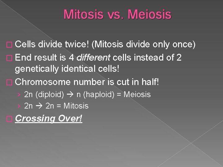 Mitosis vs. Meiosis � Cells divide twice! (Mitosis divide only once) � End result