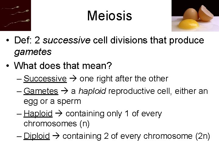Meiosis • Def: 2 successive cell divisions that produce gametes • What does that