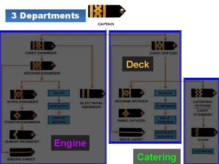 3 Departments Deck Engine Catering 